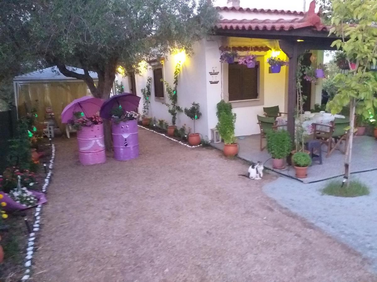 Killini Cottage Studio The Small Cyclades Kastro-Kyllini エクステリア 写真