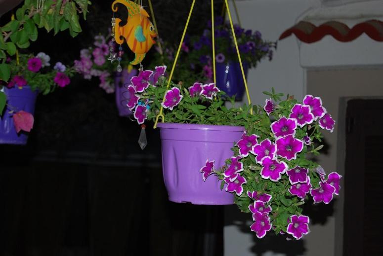 Killini Cottage Studio The Small Cyclades Kastro-Kyllini エクステリア 写真