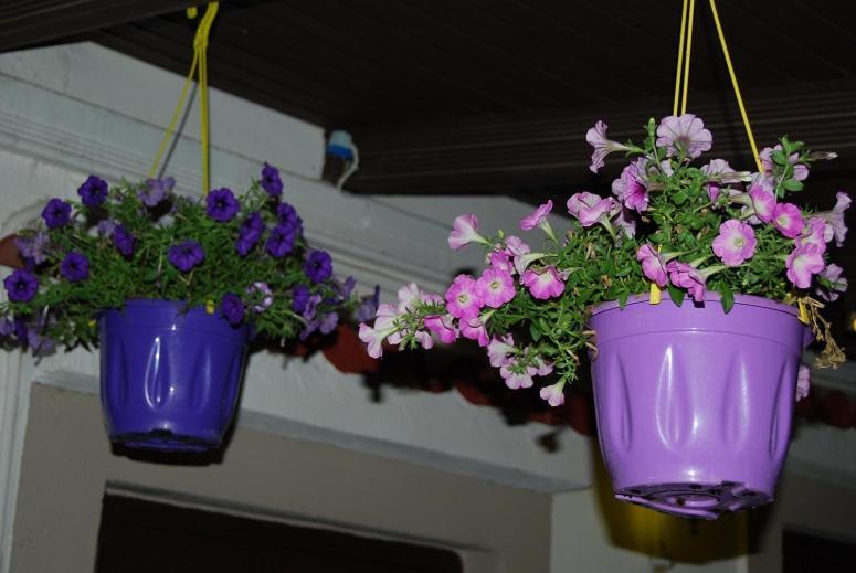 Killini Cottage Studio The Small Cyclades Kastro-Kyllini エクステリア 写真